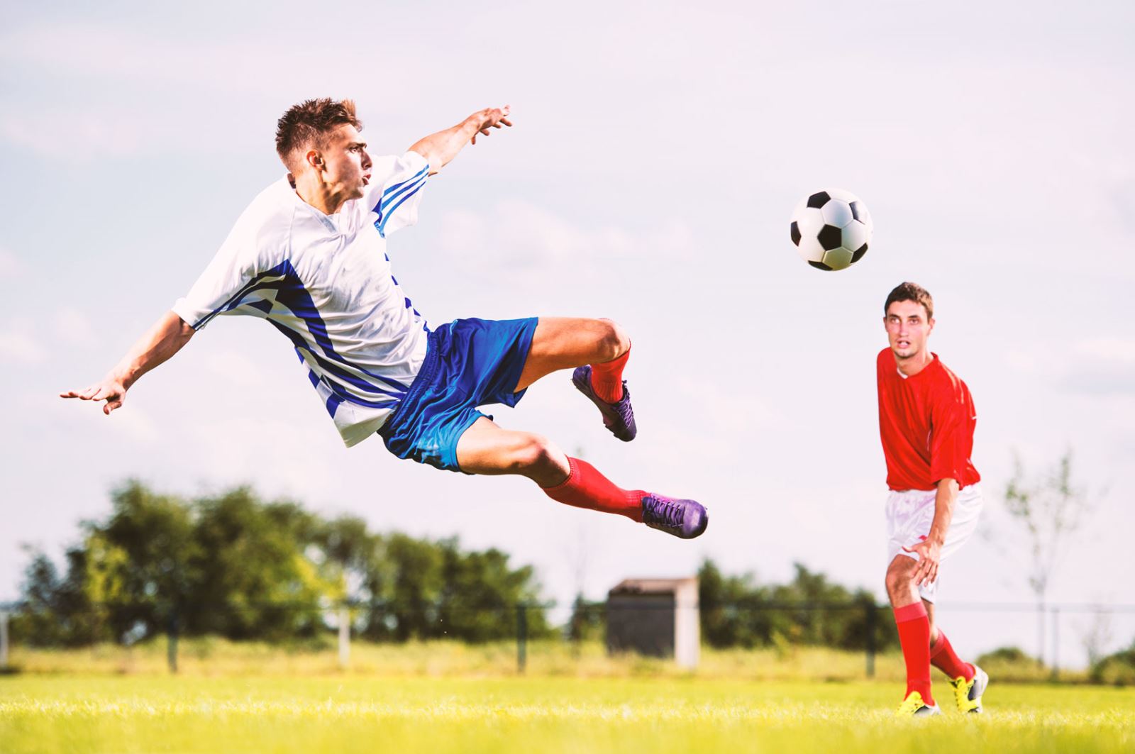 的赛季战绩 的赛季战绩