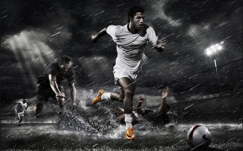 已经表现出 已经表现出