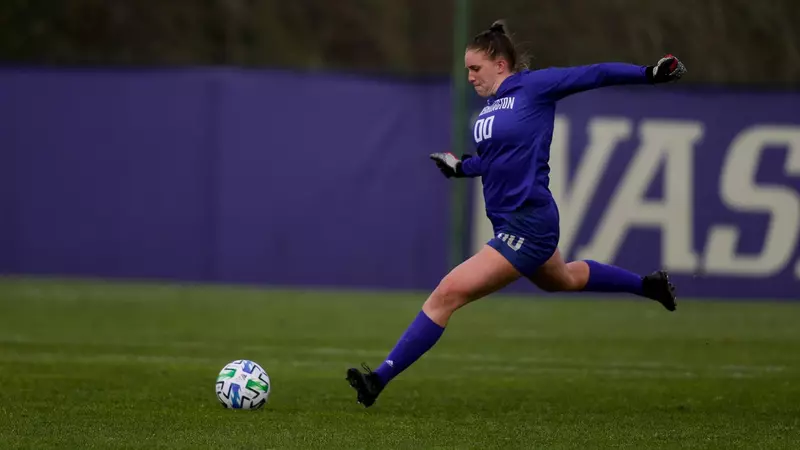 决定性作用 决定性作用